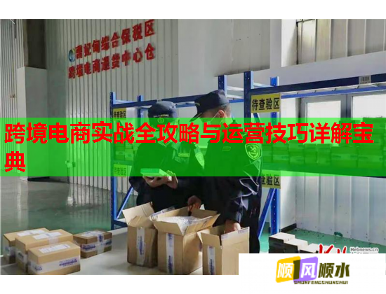 跨境电商实战全攻略与运营技巧详解宝典  第1张