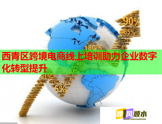 西青区跨境电商线上培训助力企业数字化转型提升  第1张