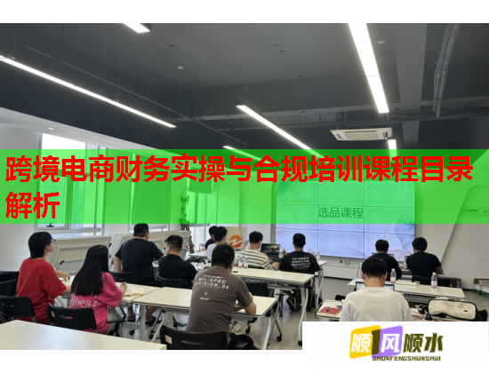 跨境电商财务实操与合规培训课程目录解析  第1张