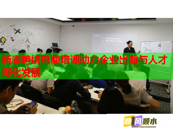 新泰跨境电商培训助力企业出海与人才孵化发展  第1张