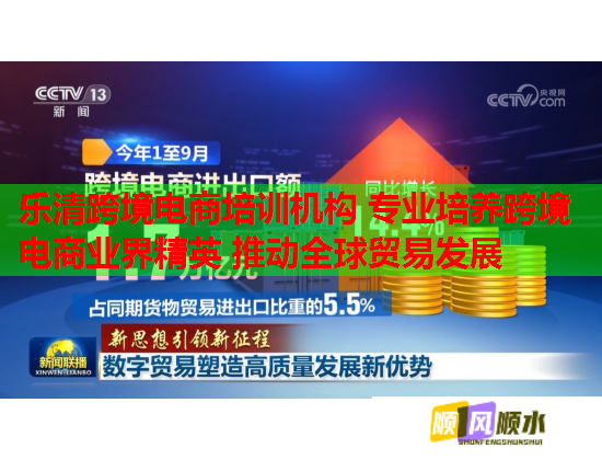 乐清跨境电商培训机构 专业培养跨境电商业界精英 推动全球贸易发展  第1张