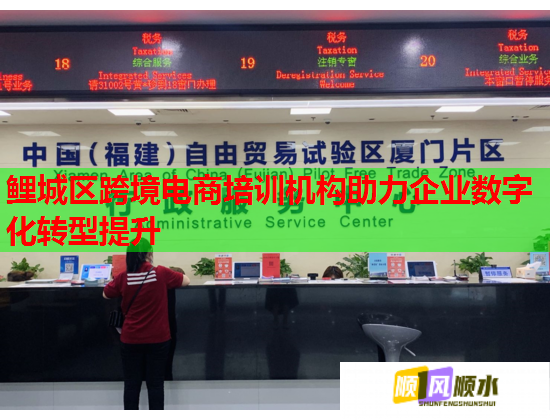 鲤城区跨境电商培训机构助力企业数字化转型提升  第1张