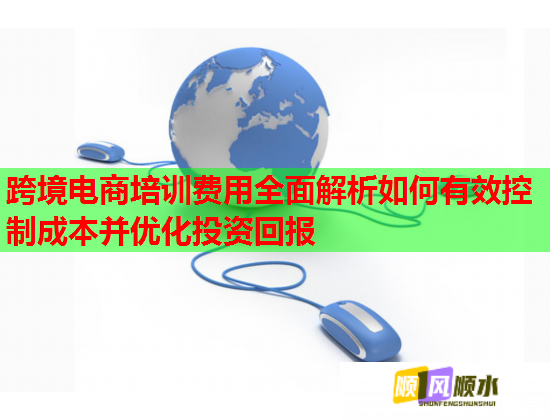 跨境电商培训费用全面解析如何有效控制成本并优化投资回报  第2张