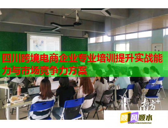 四川跨境电商企业专业培训提升实战能力与市场竞争力方案  第1张
