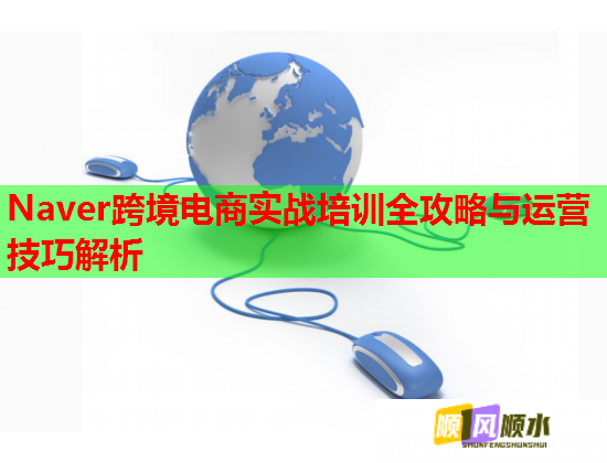 Naver跨境电商实战培训全攻略与运营技巧解析  第2张