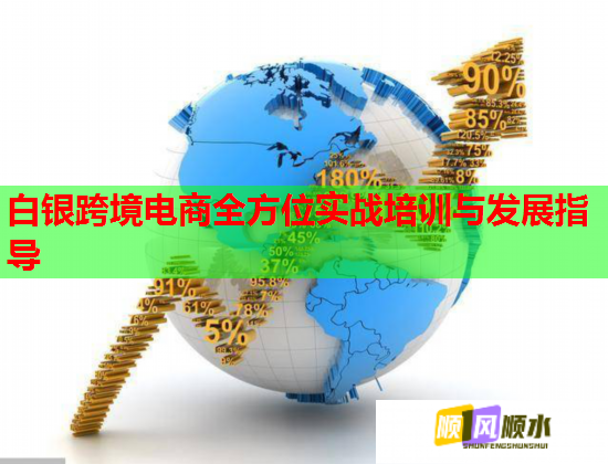 白银跨境电商全方位实战培训与发展指导  第1张