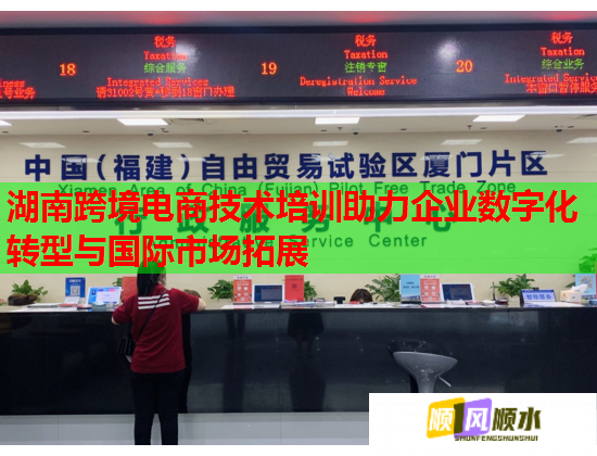 湖南跨境电商技术培训助力企业数字化转型与国际市场拓展  第1张