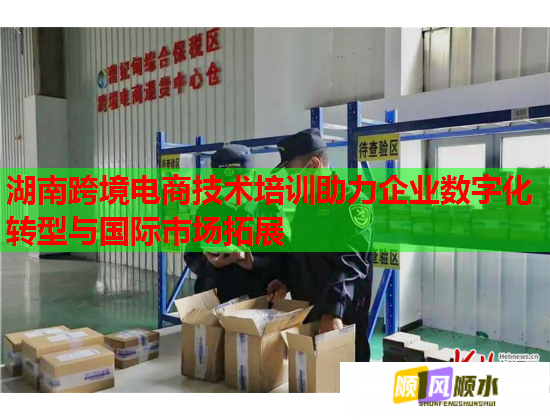 湖南跨境电商技术培训助力企业数字化转型与国际市场拓展  第2张