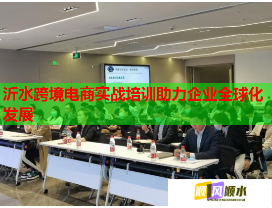 沂水跨境电商实战培训助力企业全球化发展  第1张
