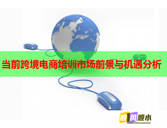 当前跨境电商培训市场前景与机遇分析  第2张