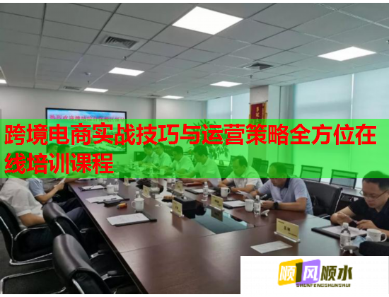 跨境电商实战技巧与运营策略全方位在线培训课程  第1张
