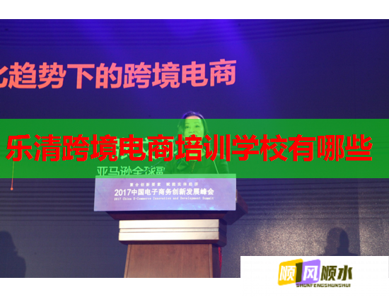 乐清跨境电商培训学校有哪些  第2张