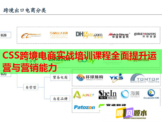 CSS跨境电商实战培训课程全面提升运营与营销能力  第2张