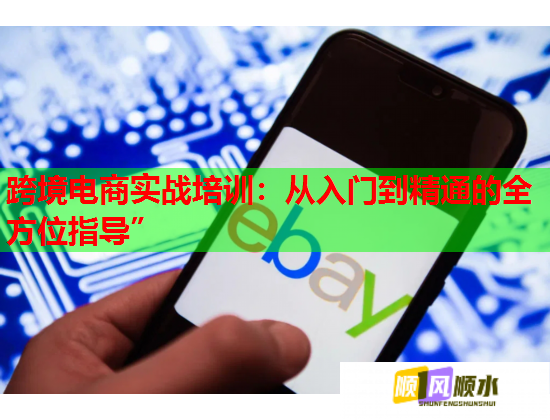 跨境电商实战培训：从入门到精通的全方位指导”  第1张