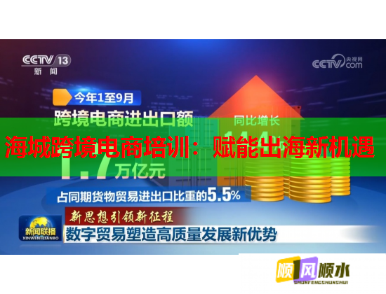 海城跨境电商培训：赋能出海新机遇  第1张