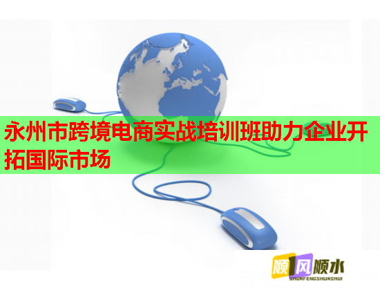 永州市跨境电商实战培训班助力企业开拓国际市场  第3张