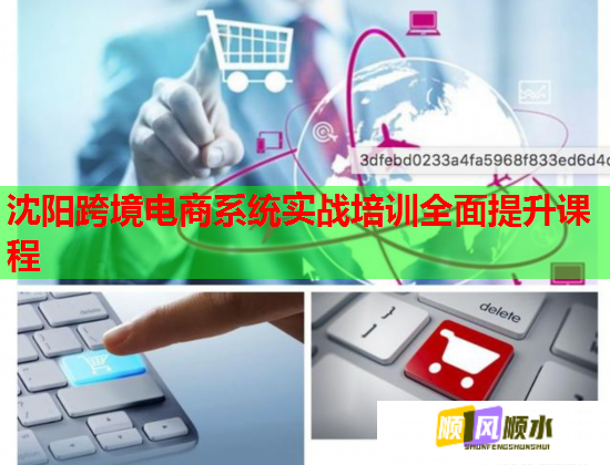沈阳跨境电商系统实战培训全面提升课程  第1张