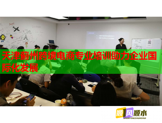 天津蓟州跨境电商专业培训助力企业国际化发展  第1张
