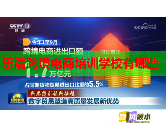 乐清跨境电商培训学校有哪些  第2张