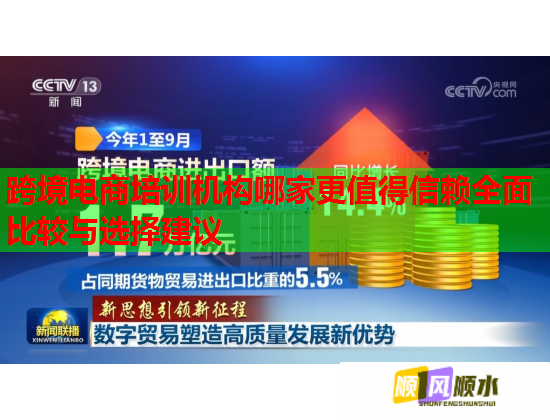 跨境电商培训机构哪家更值得信赖全面比较与选择建议  第1张