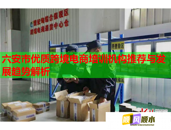 六安市优质跨境电商培训机构推荐与发展趋势解析  第1张