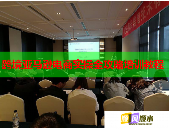 跨境亚马逊电商实操全攻略培训教程  第1张