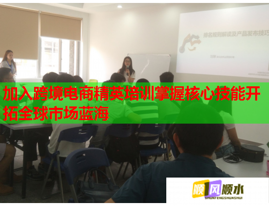 加入跨境电商精英培训掌握核心技能开拓全球市场蓝海  第3张