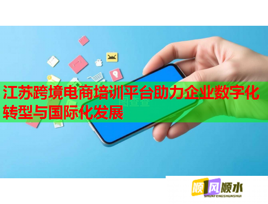 江苏跨境电商培训平台助力企业数字化转型与国际化发展  第2张