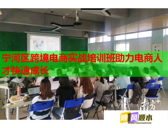 宁河区跨境电商实战培训班助力电商人才快速成长  第2张