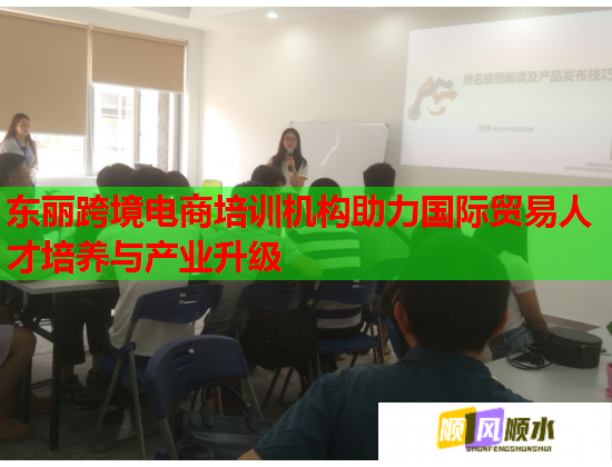 东丽跨境电商培训机构助力国际贸易人才培养与产业升级  第1张