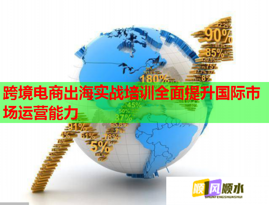 跨境电商出海实战培训全面提升国际市场运营能力  第1张
