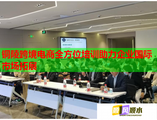 铜陵跨境电商全方位培训助力企业国际市场拓展  第3张