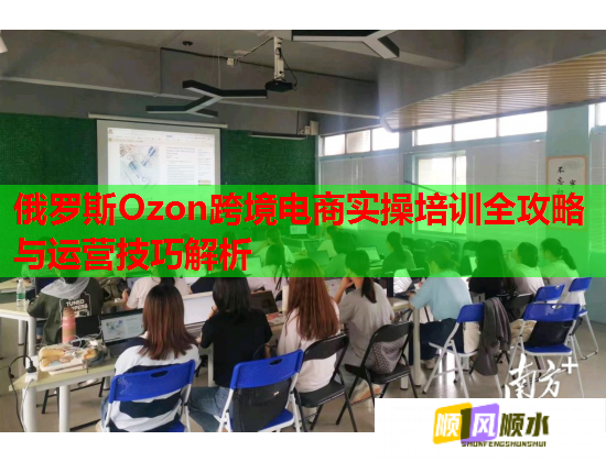 俄罗斯Ozon跨境电商实操培训全攻略与运营技巧解析  第2张
