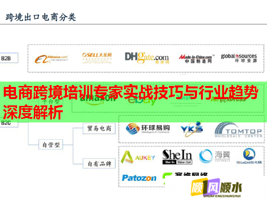 电商跨境培训专家实战技巧与行业趋势深度解析  第1张