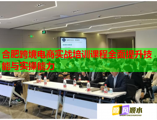 合肥跨境电商实战培训课程全面提升技能与实操能力 第3张 合肥跨境电商实战培训课程全面提升技能与实操能力 第3张