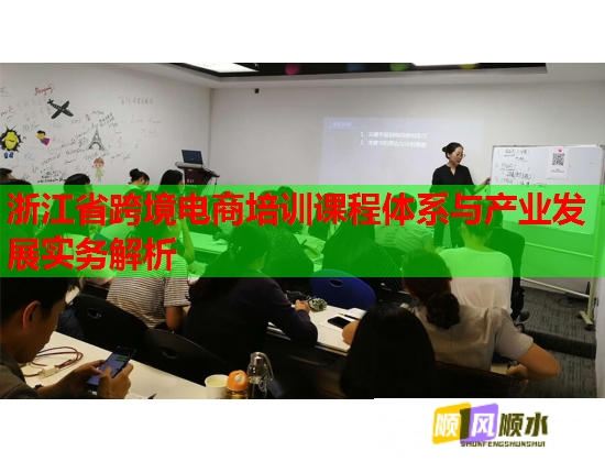 浙江省跨境电商培训课程体系与产业发展实务解析 第1张 浙江省跨境电商培训课程体系与产业发展实务解析 第1张