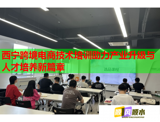 西宁跨境电商技术培训助力产业升级与人才培养新篇章 第1张 西宁跨境电商技术培训助力产业升级与人才培养新篇章 第1张