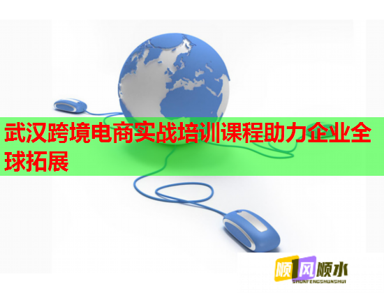 武汉跨境电商实战培训课程助力企业全球拓展 第2张 武汉跨境电商实战培训课程助力企业全球拓展 第2张