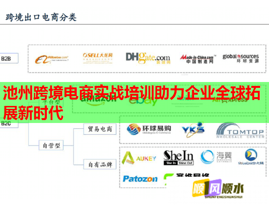 池州跨境电商实战培训助力企业全球拓展新时代 第1张 池州跨境电商实战培训助力企业全球拓展新时代 第1张